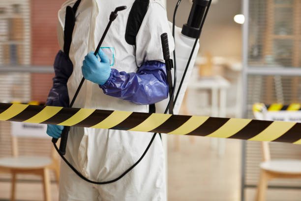 Professional Blood Cleanup technician working in Blue Jay, CA