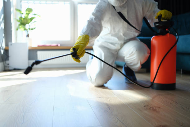 Reliable Blood Cleanup contractor in Blue Jay, CA by Dulley Family Biohazard Services